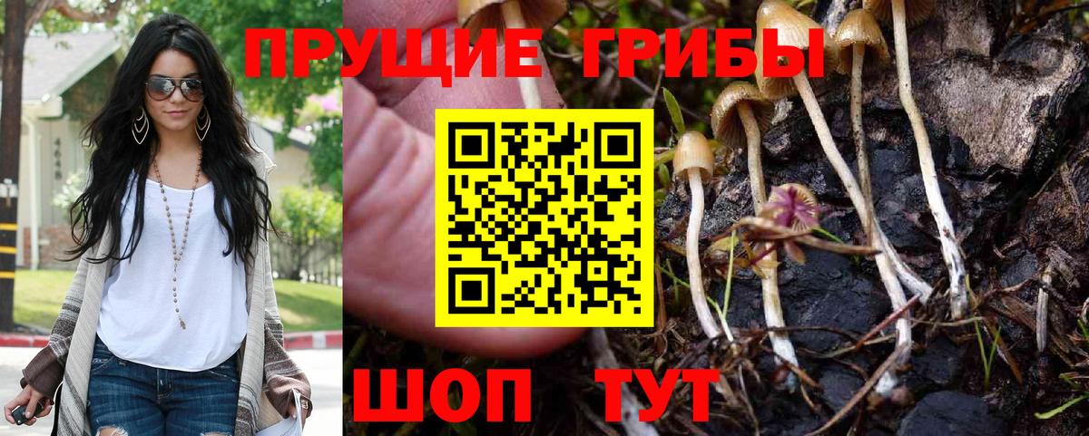 Псилоцибиновые грибы прущие грибы Димитровград
