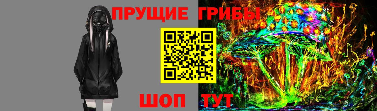 закладки  Вход с VPN  Димитровград  Псилоцибиновые грибы мухоморы 